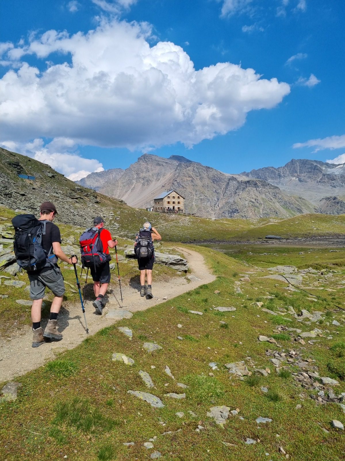 Ortler Trek