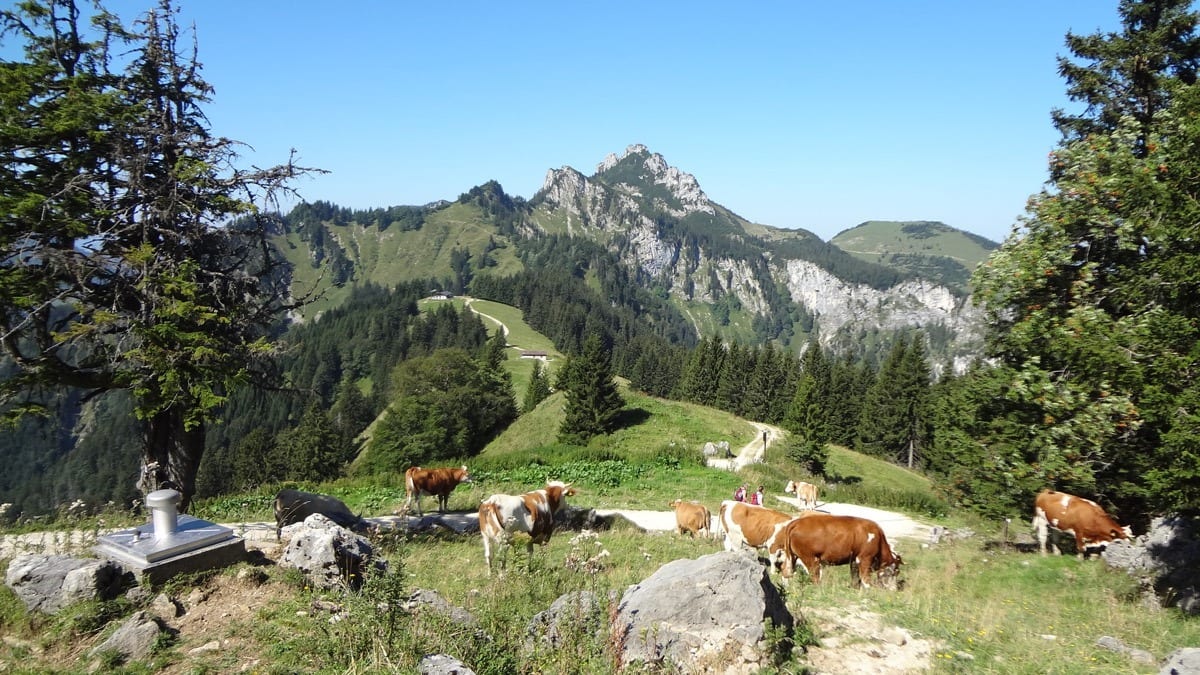Königssee naar Chiemsee