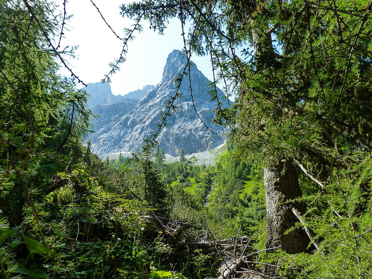 Bach, Lechtal (individueel)