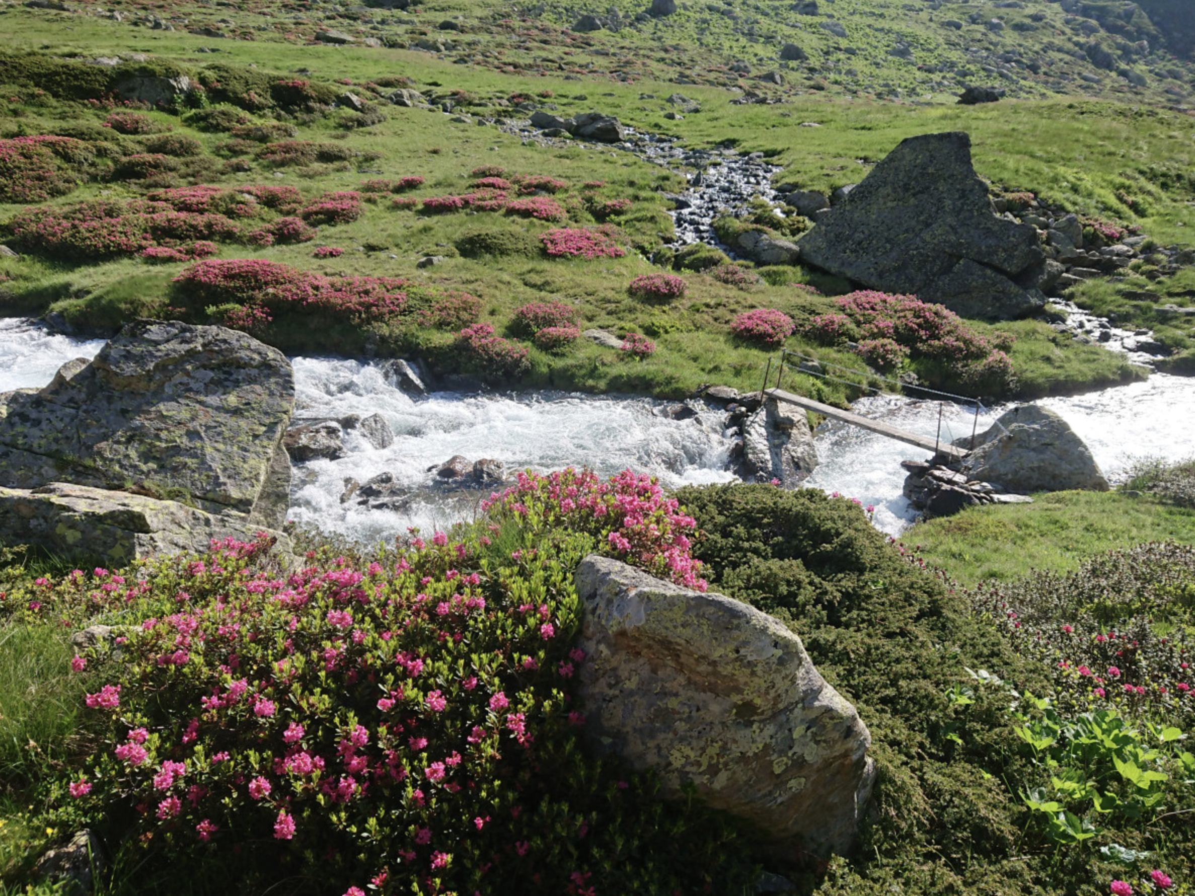van Merano naar Lago di Garda