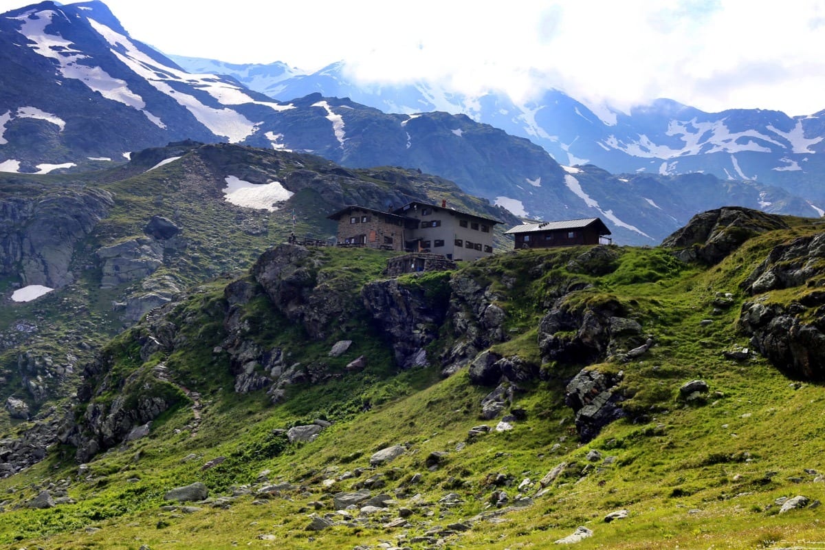 Ortler Trek