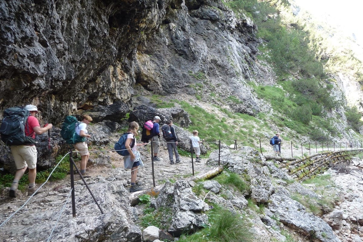 Dolomieten DOGS Small