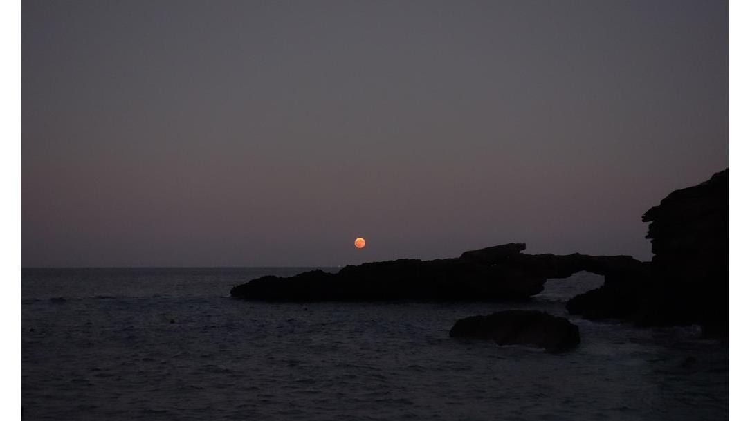 Selvaggio Blu - Original