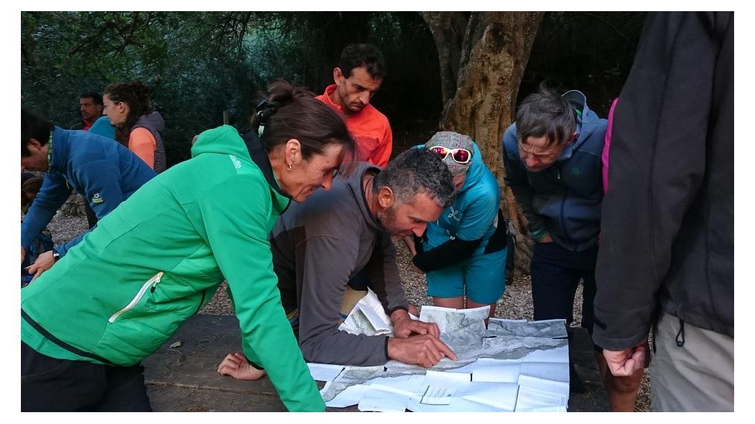 Selvaggio Blu - Original