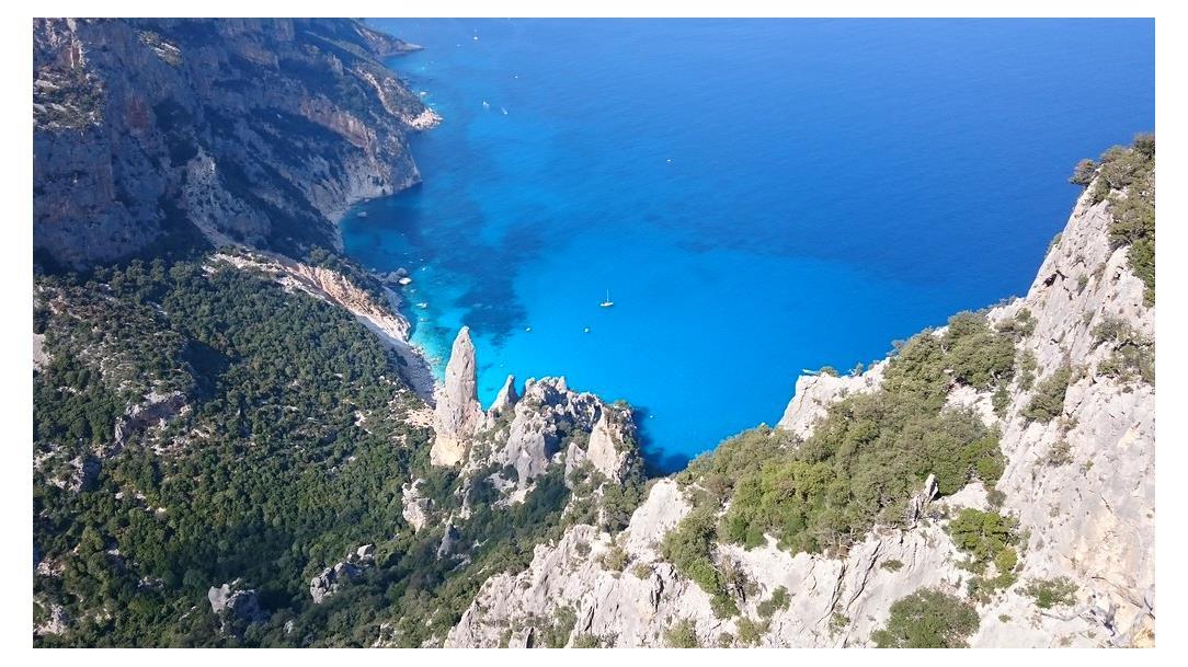 Selvaggio Blu - Original