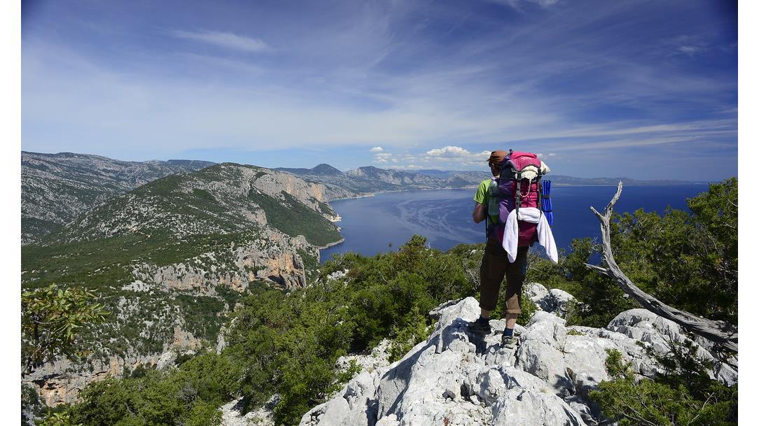 Selvaggio Blu - Original