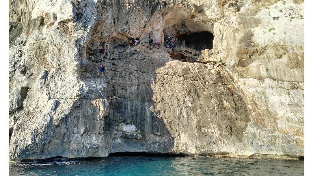 Selvaggio Blu - Original