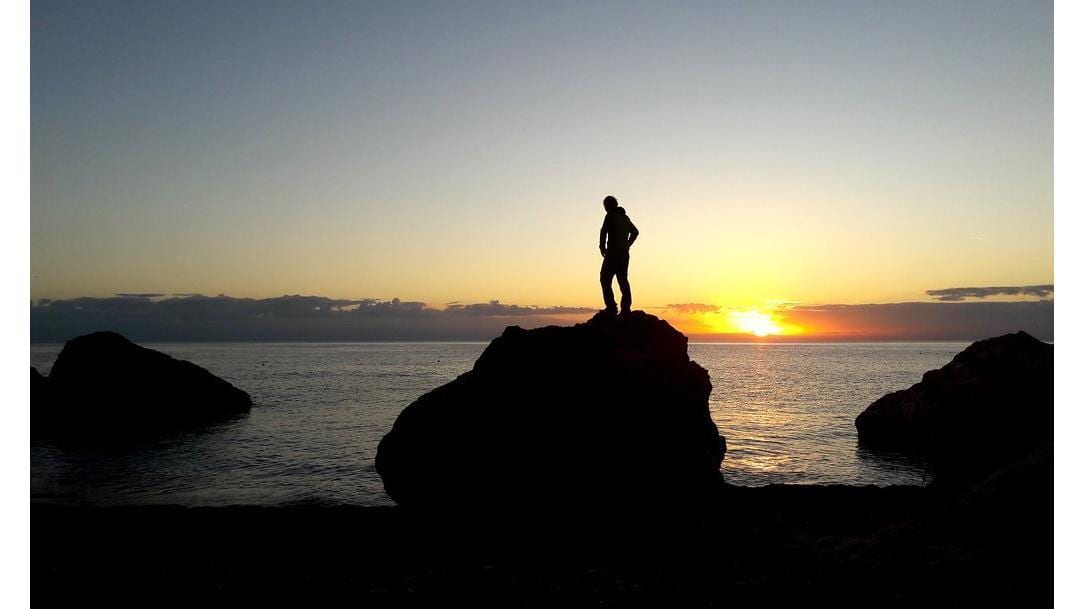 Selvaggio Blu - Original