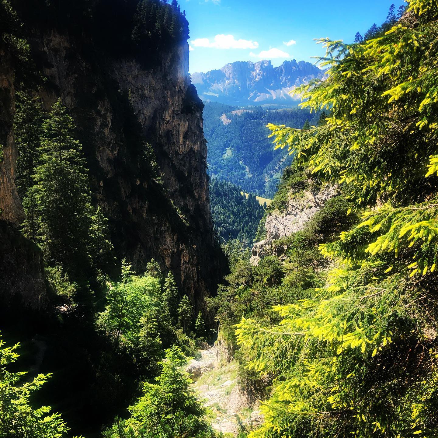 Tiers, Rosengarten (individueel)