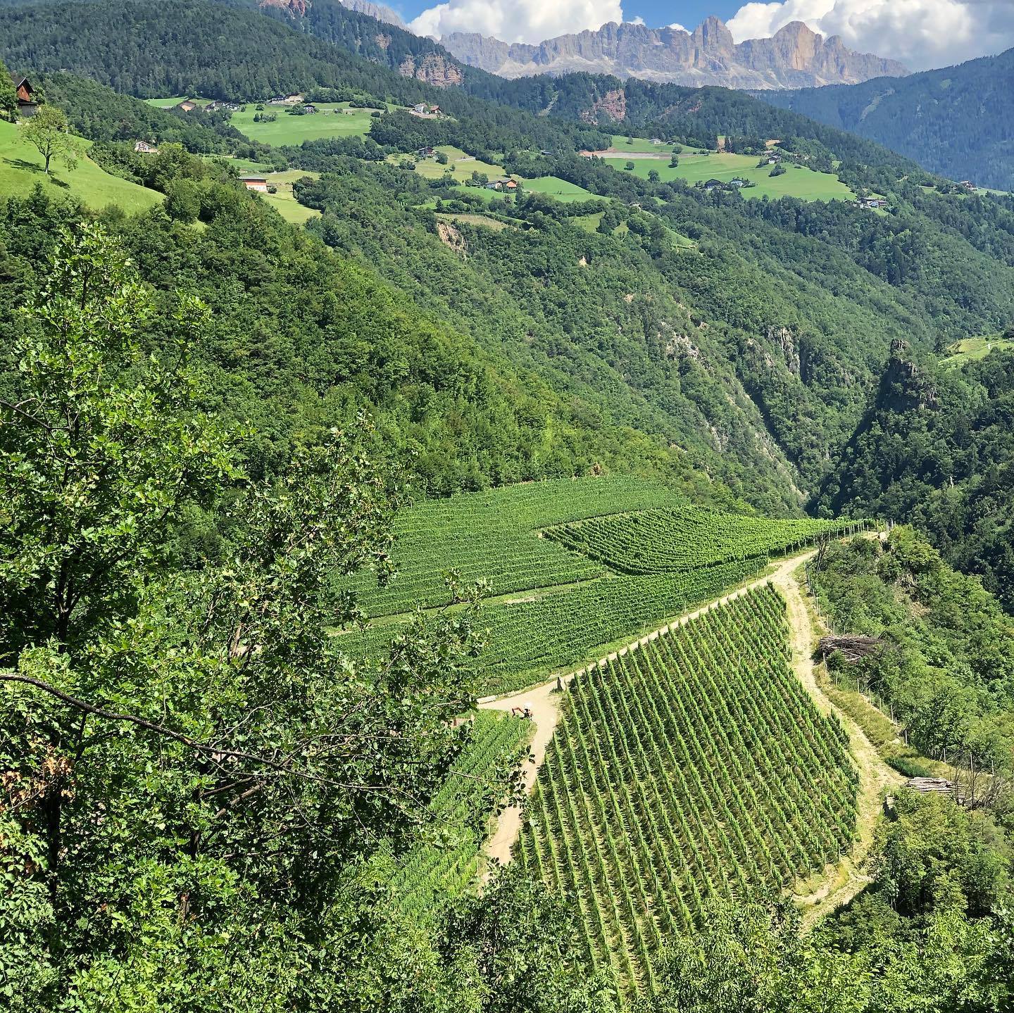 Tiers, Rosengarten (individueel)