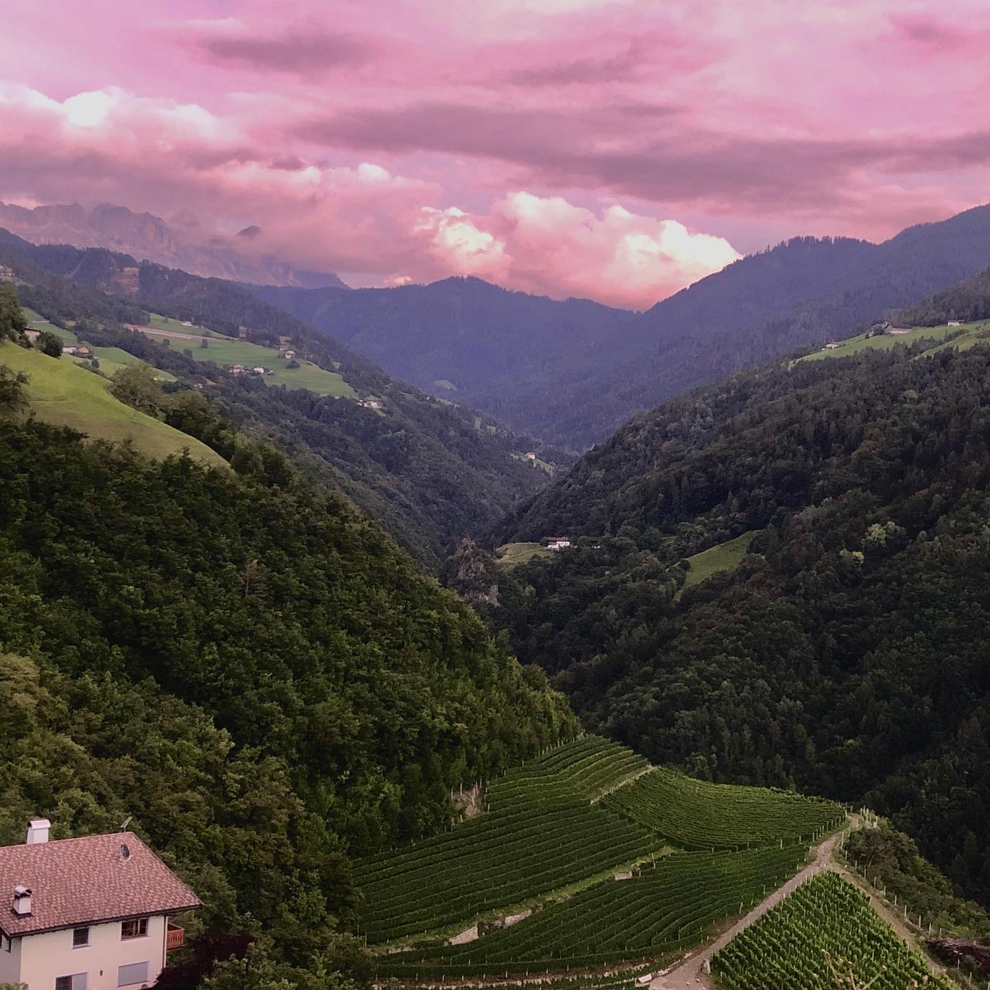 Tiers, Rosengarten (individueel)