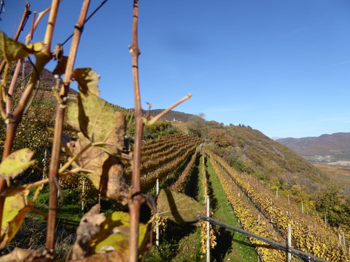 Südtiroler wein- und kastanienweg