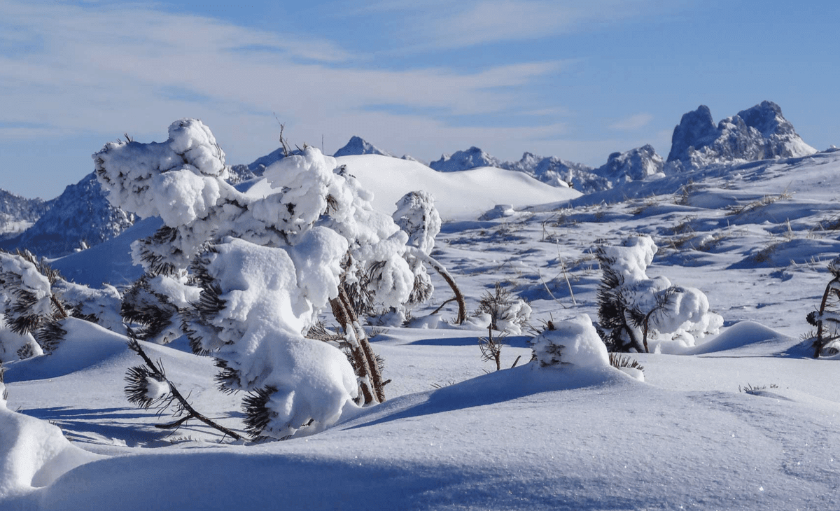 cursus sneeuwschoenwandelen