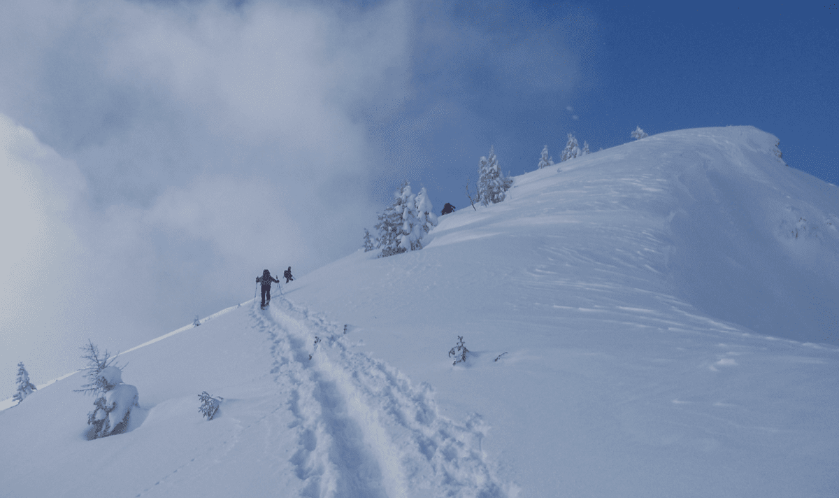 cursus sneeuwschoenwandelen
