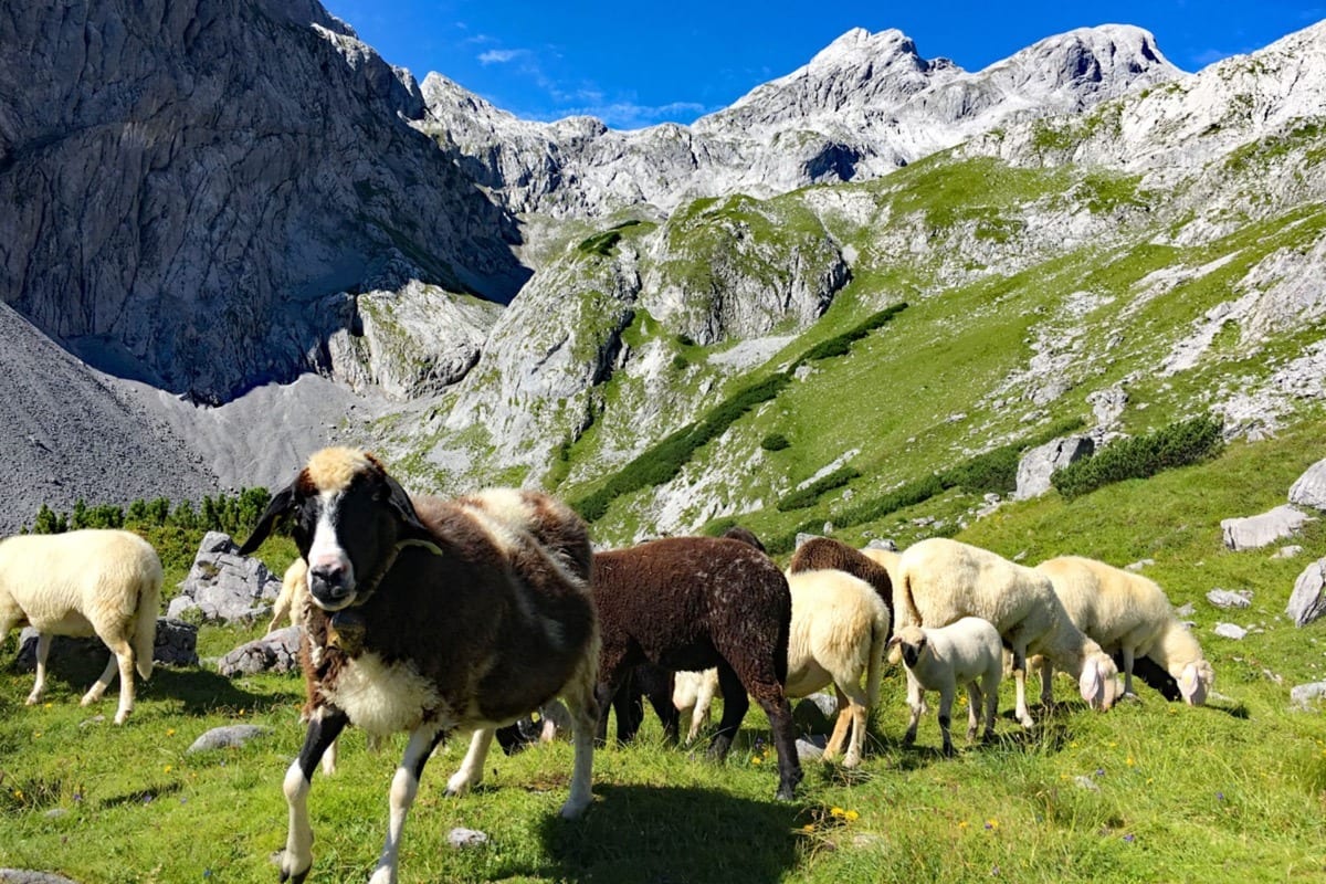 Königssee & Hochkönig