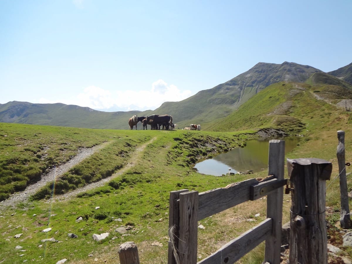 Pinzgau & Pillerseetal