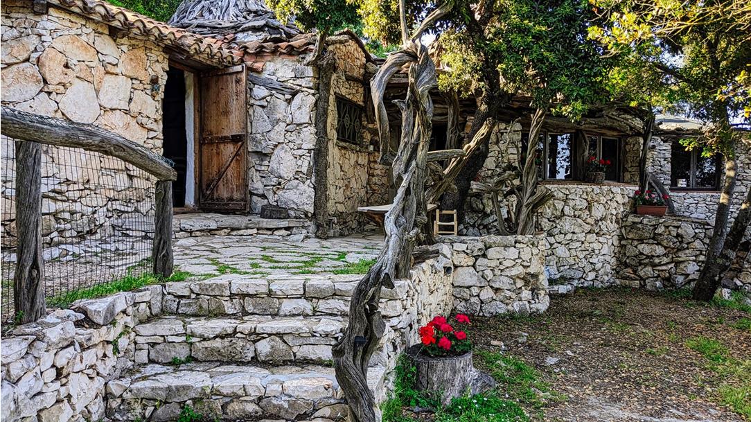 Selvaggio Blu - Extreme