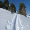 Culinaire sneeuwschoenwandelweek