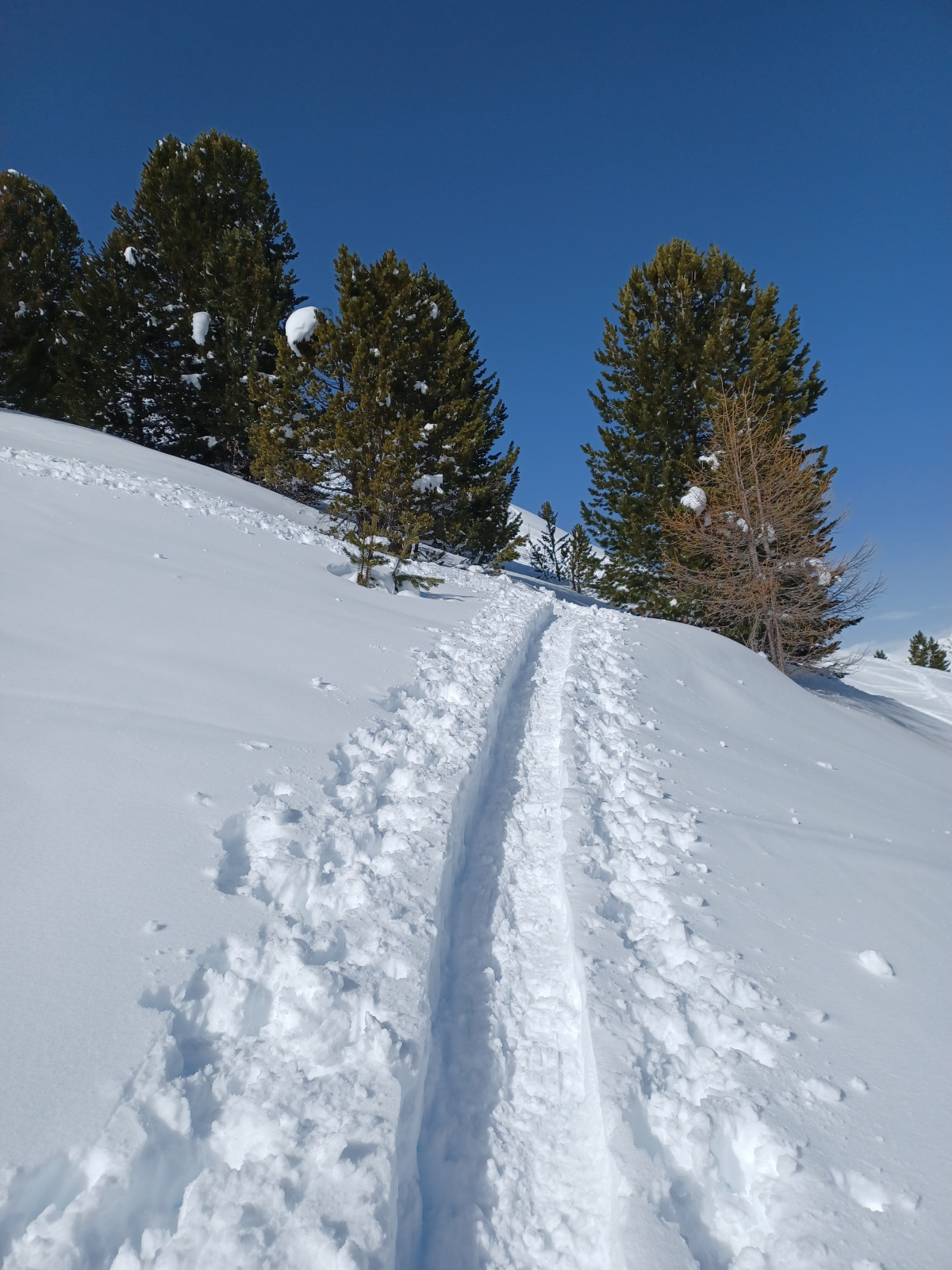 Culinaire sneeuwschoenwandelweek