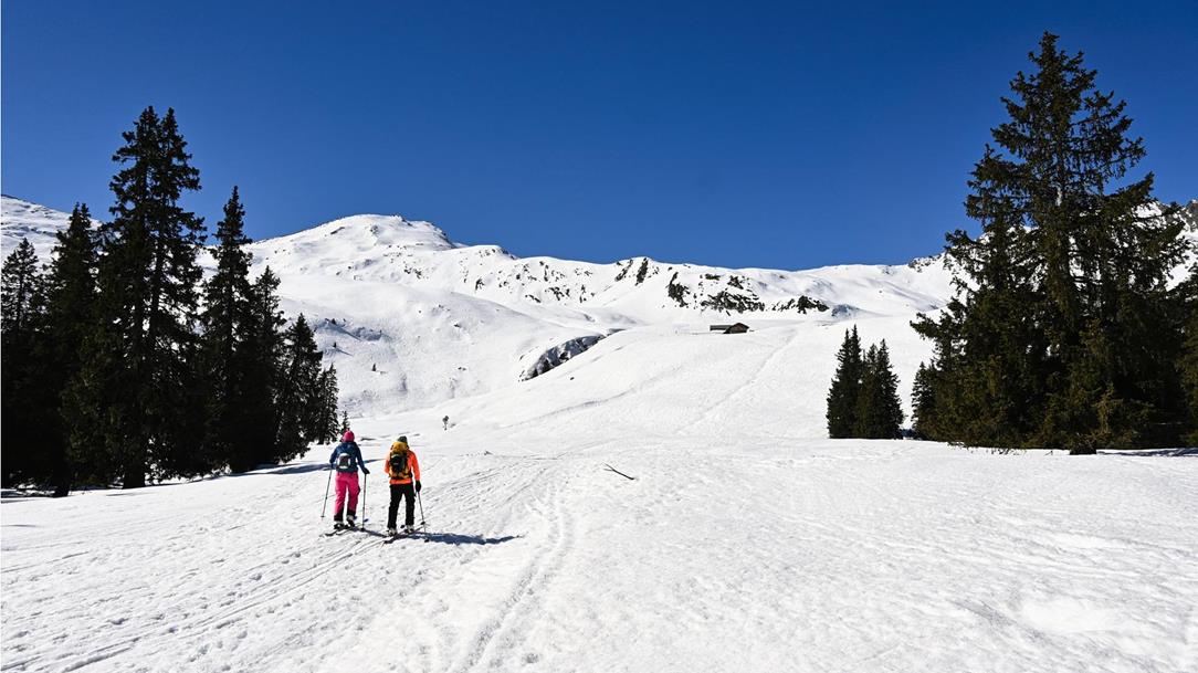 Combicursus tiefschnee & tourskiën Tauferer Ahrntal