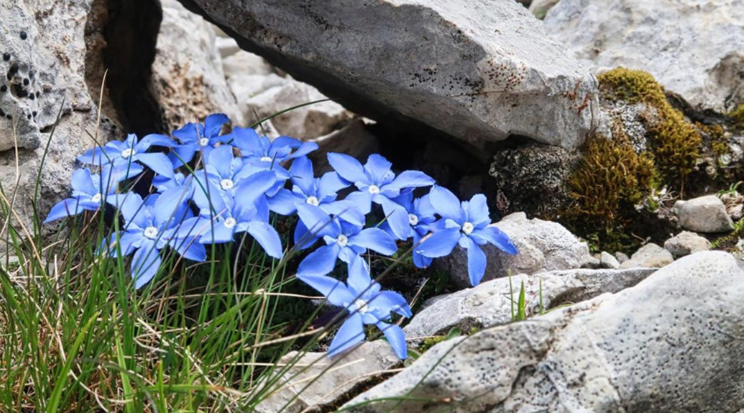 Höhenweg der Stille