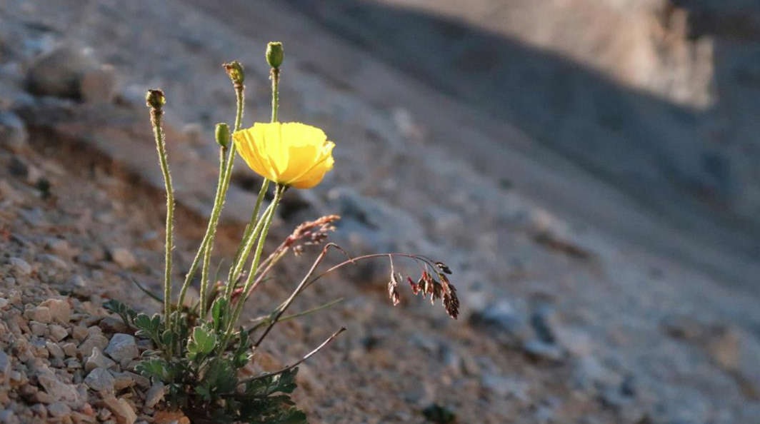 Höhenweg der Stille