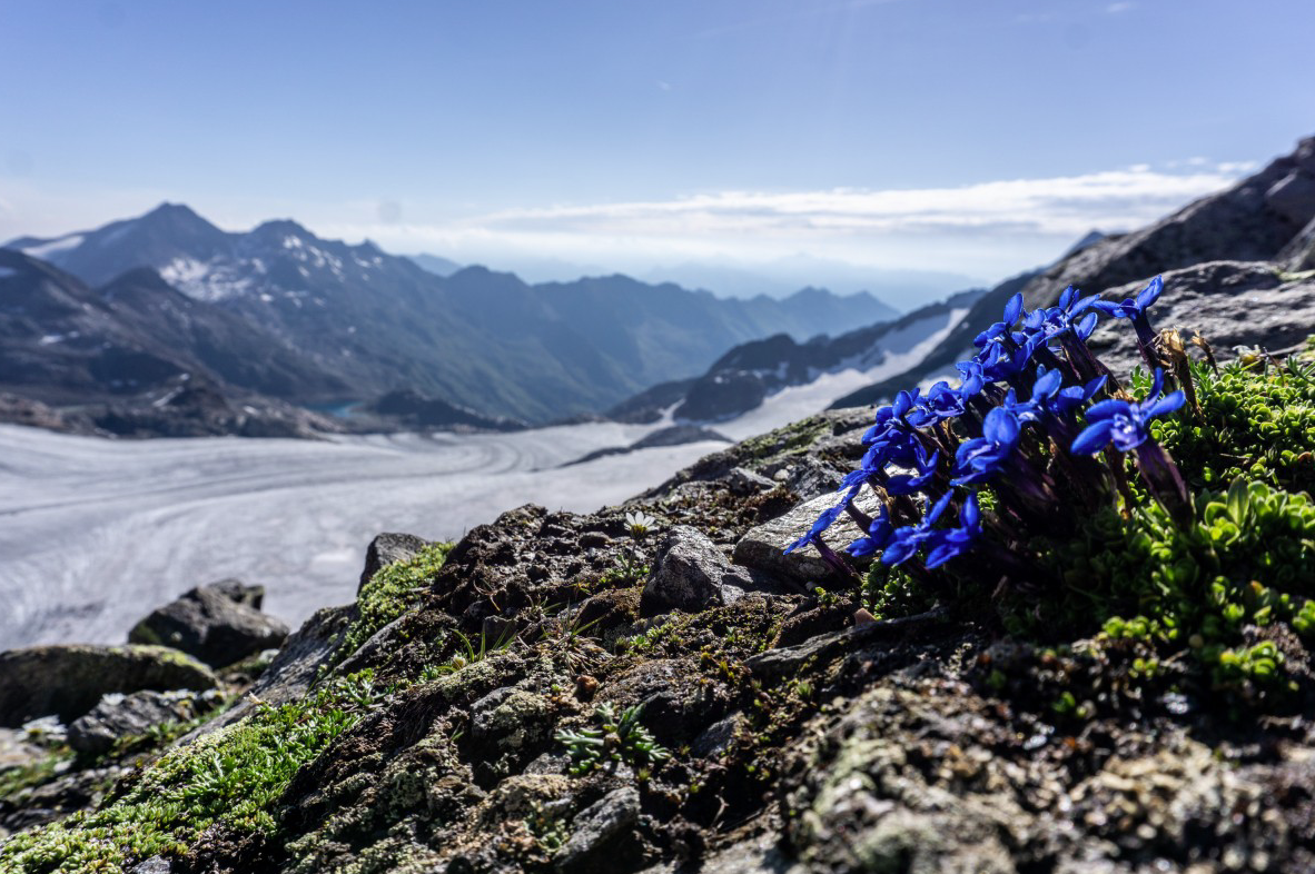 Op hoogalpien niveau van Innsbruck naar Merano