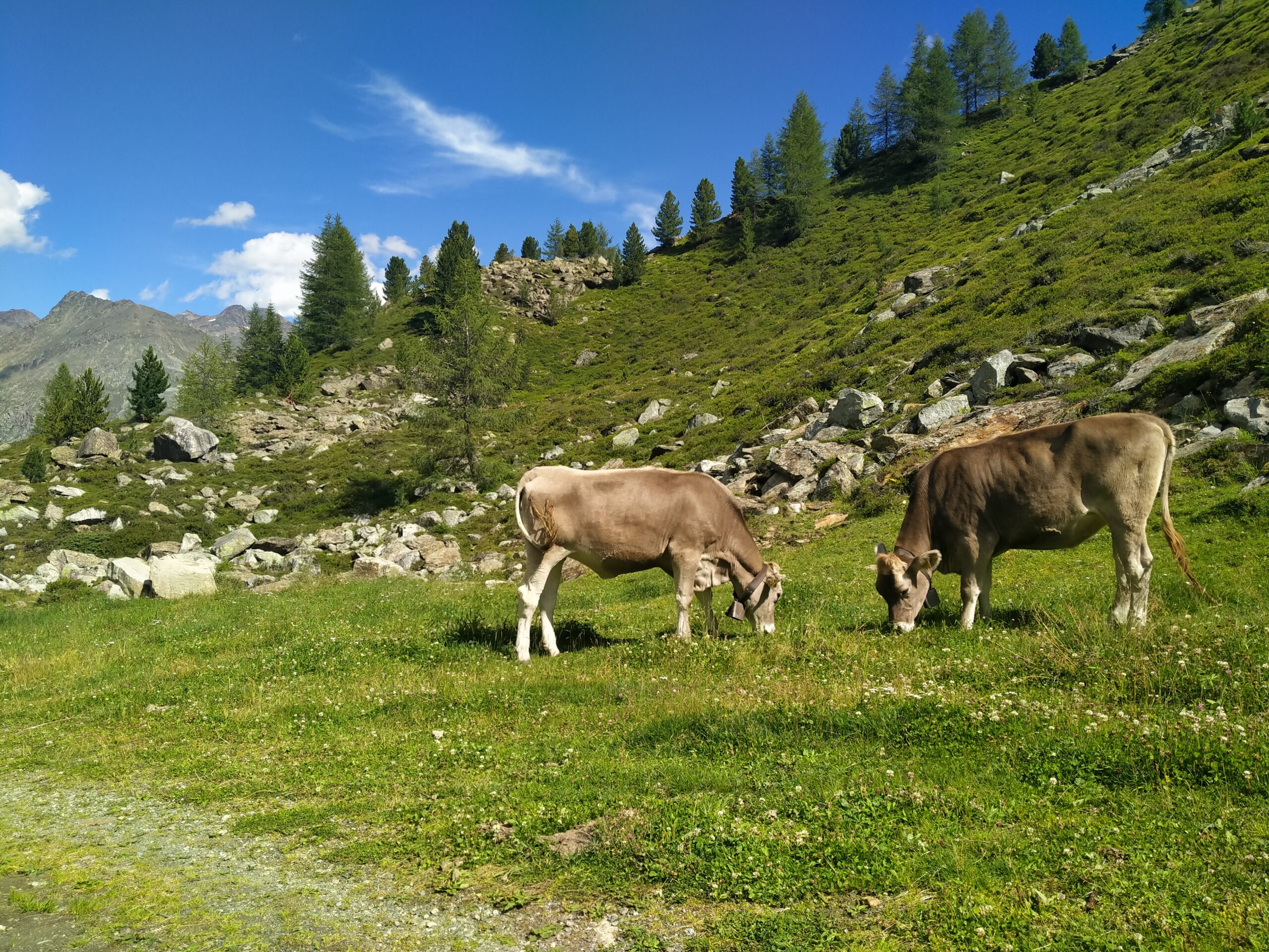 Fulpmes, Stubaital (individueel)