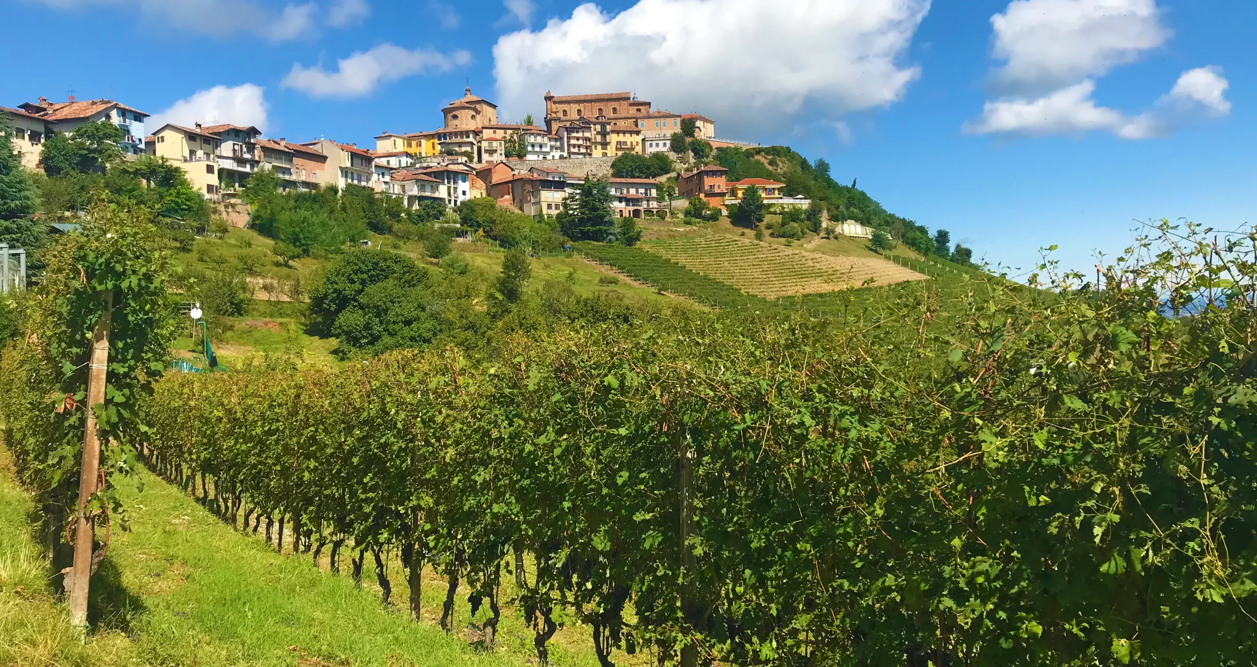 van de Langhe naar de Riviera