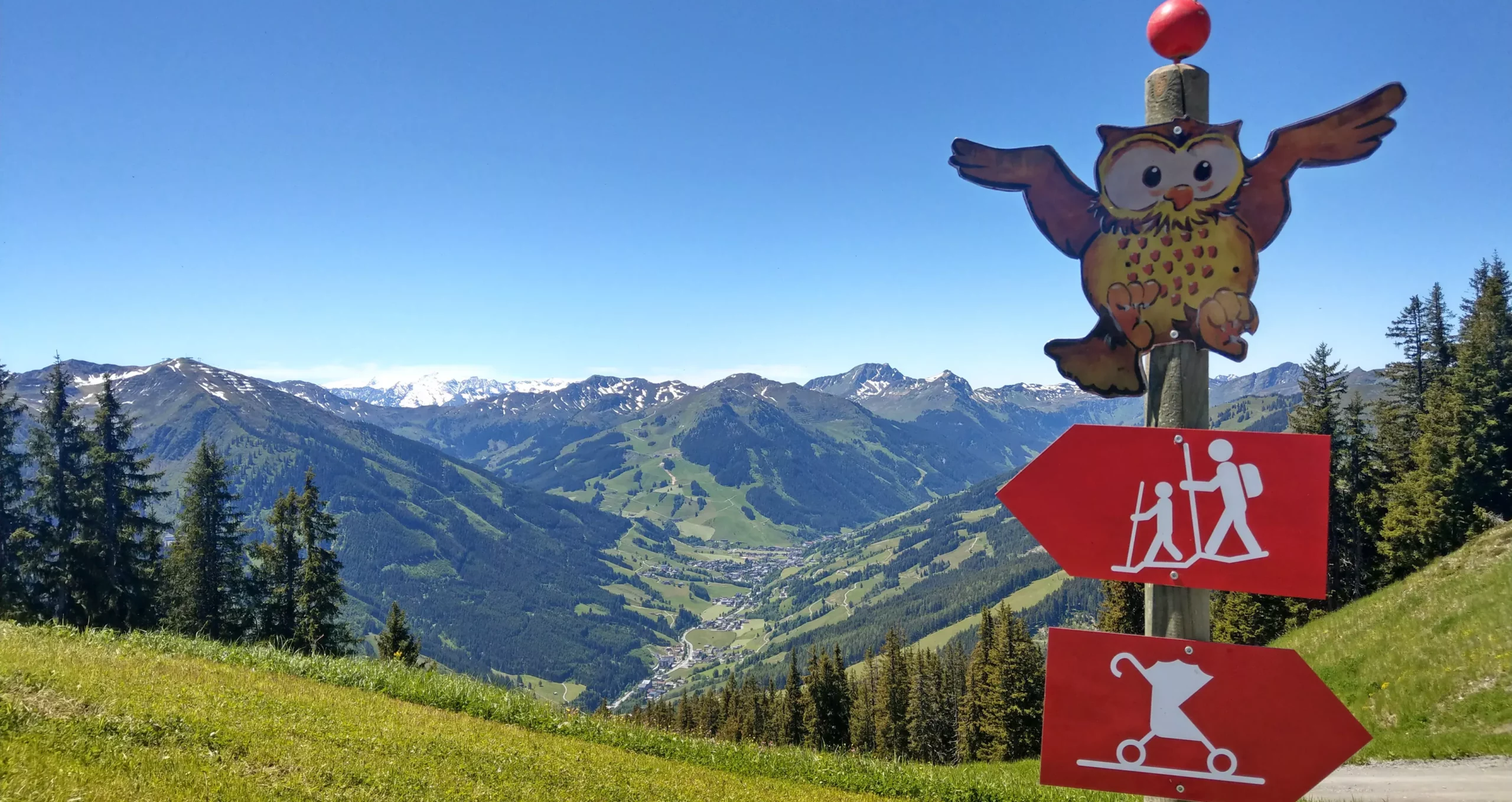 Salzburger Pinzgau Family