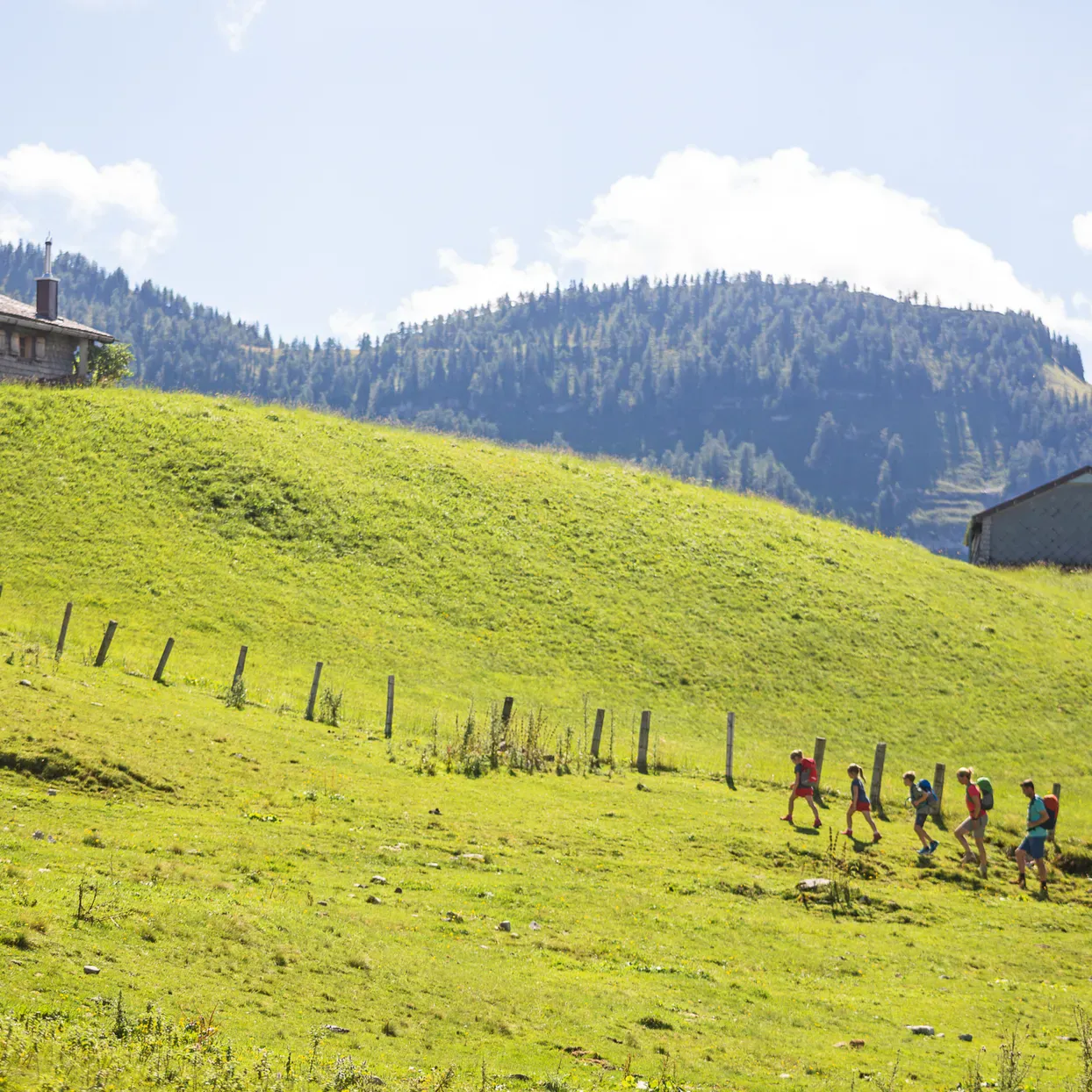 Almwandelingen Salzkammergut Family