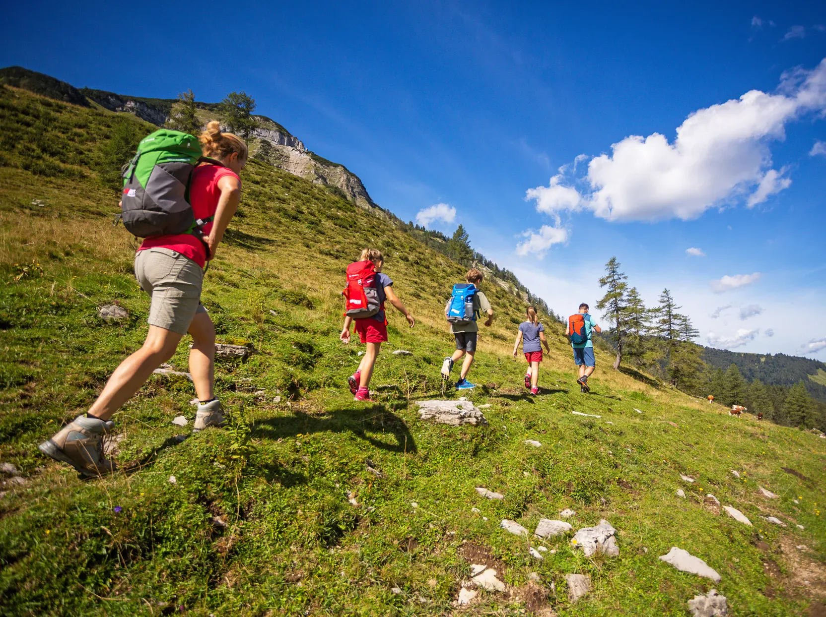 Almwandelingen Salzkammergut Family