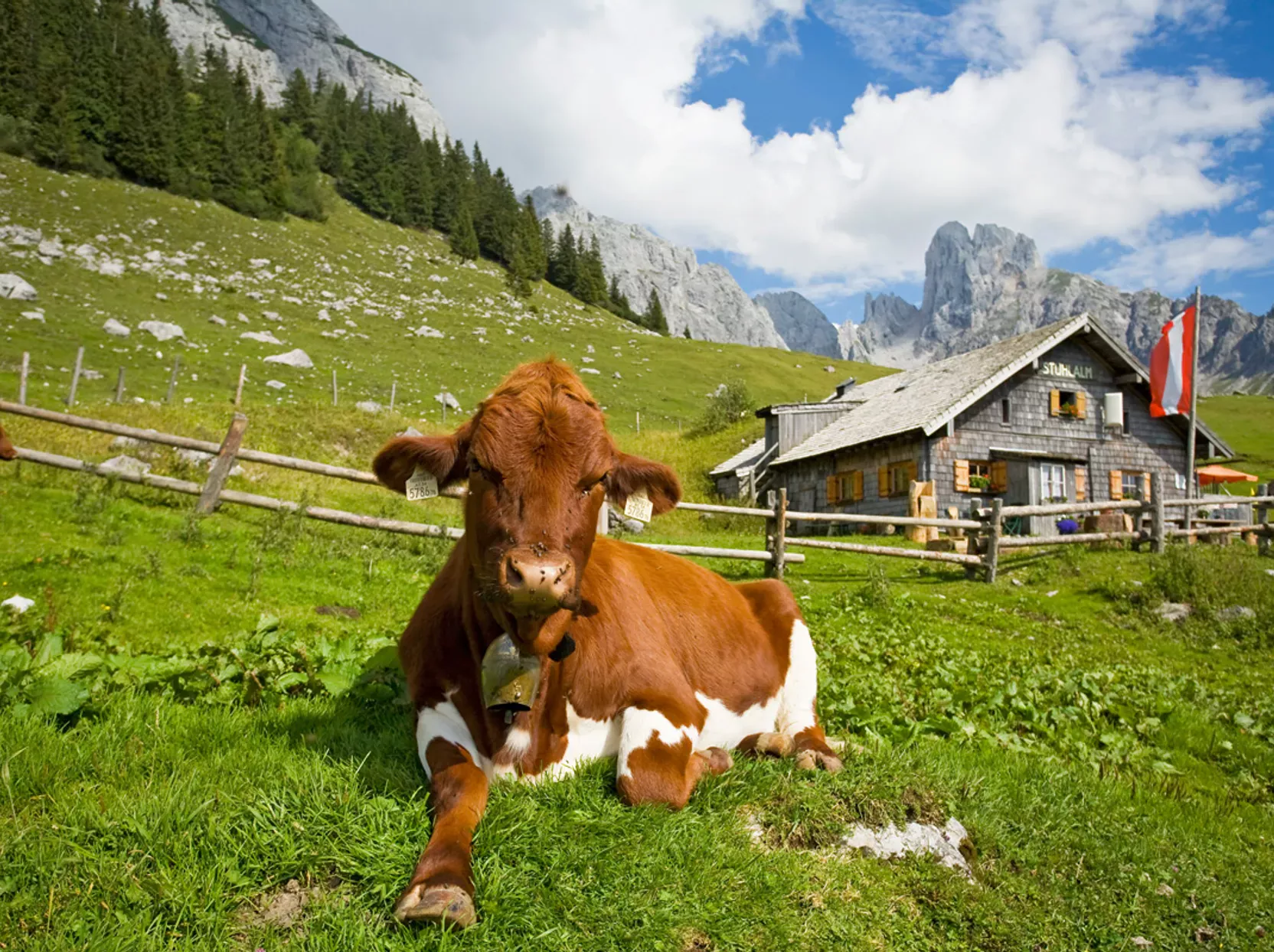 10-Meren trekking door de Salzkammergut