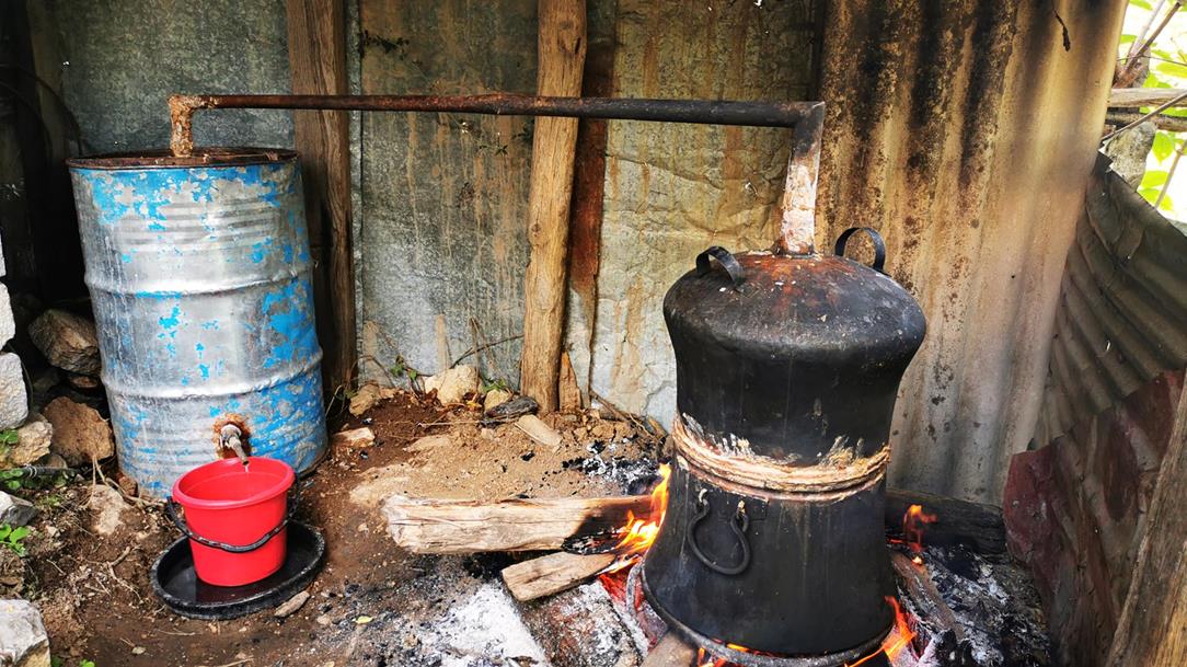 Wild Trail - Koman Lake, Albanië