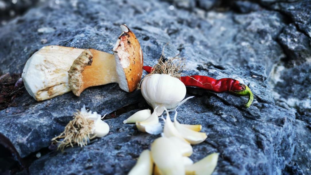 Wild Trail - Koman Lake, Albanië