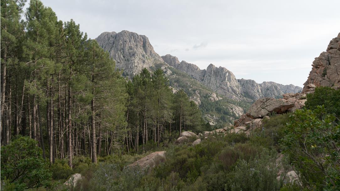Wild Trail - Mare & Monti, Corsica