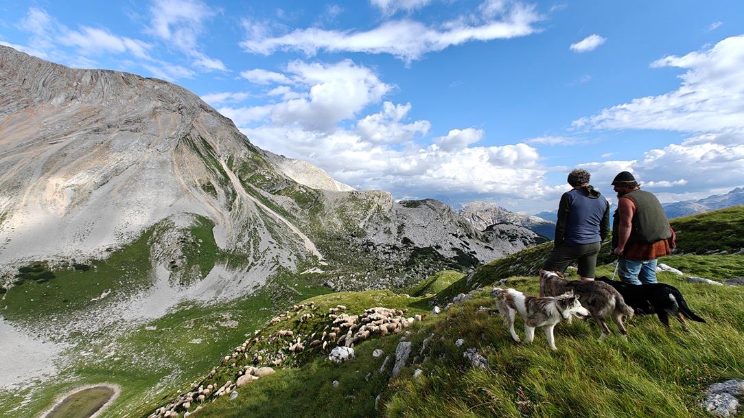 Wild Trail - Dolomieten Anas 126