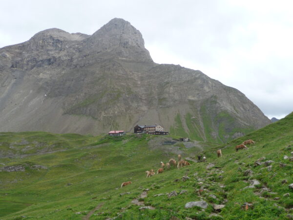 Lechtaler Trek