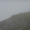 Lechtaler Trek